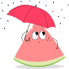 watermelon umbrella