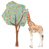 giraffe | giraffe