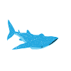 Whale Shark