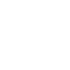 THE WALKING DAD