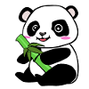 Pandabär