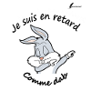 bunnyshirt