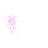 bam.