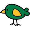 bird