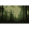 Forêt verte