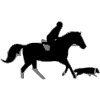 reiter_pferd_hund
