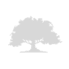 Nature tree
