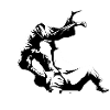 judo