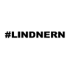 LINDNERN lindnert t shirt gift