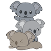 Koala – Koalabär – Koalafan – Geschenk
