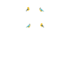 Birder Bird Nerd