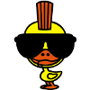 Punk duck
