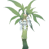 Kokodama