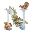 Squirrel initial letter N