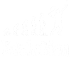 Evolution tennis