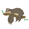 sloth