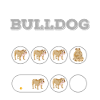 Hundetraining für Bulldogen