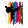 Taekwondo Gürtel Silhouette