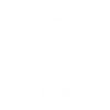 Cat Music Sheet