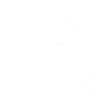 skispringer