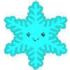 Christmas star Scheeflocke Christmas