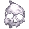 skull