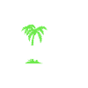 Punta Cana