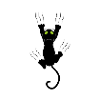chat