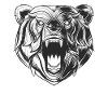 Brüllender Bär frontalansicht Bear Kopf