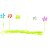 flower meadow