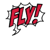 fly