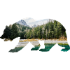 Bär Wald Kanada Alpen