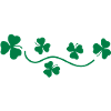 shamrock clover leaves