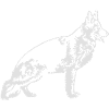 471 deutscher Schäferhund