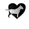 Bull Terrier dog