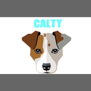 CALTY DOG HODDIE