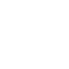 Evolution Contrebasse