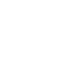 Bongo Evolution