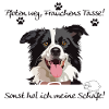 Frauchens cup, Border collie