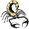 skorpion - gold - gelb