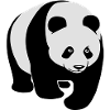 panda bär bear