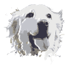 Creative drawing Golden Retriever