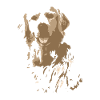Dessin créatif Golden Retriever