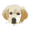 Creatieve tekening puppy Golden Retriever