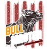 bull