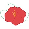 Poppy