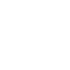 Velociraptor dinosaure
