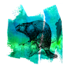 beaver