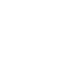 Skateboarder
