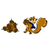 Squirrel collects nuts